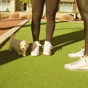 Meet your Posher, Hannah